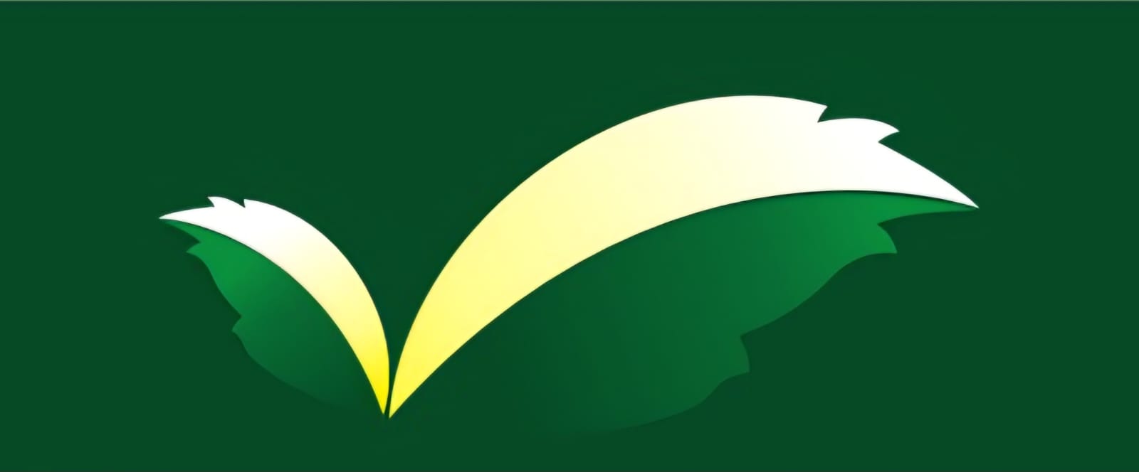 Neem Facility Services Logo